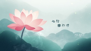 静心荷花