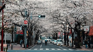唯美街道