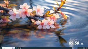 樱花散落