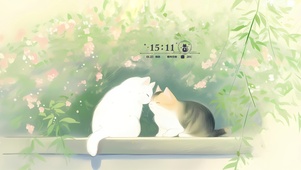 清新可爱猫咪