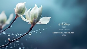 温馨的玉兰花