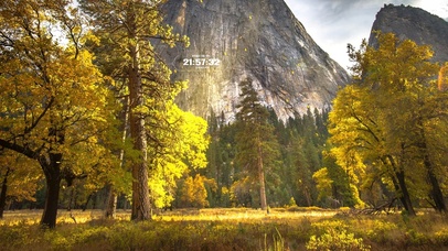 4k秋天国家森林公园