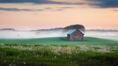 清晨空旷山野蒲公英木屋