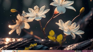 夕阳下的兰花