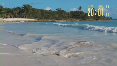 阳光明媚的海滩