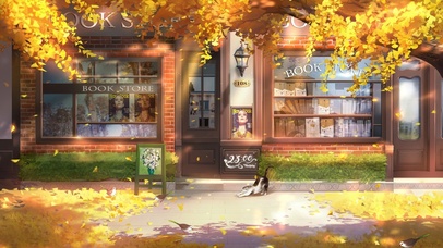 4k 治愈唯美图书馆门口的小猫