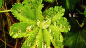 护眼雨滴