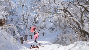清纯优雅气质美女