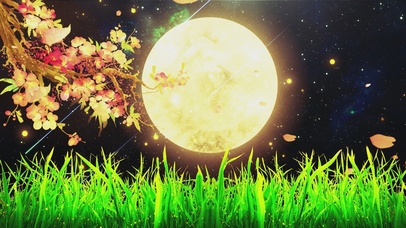 唯美月色花瓣飘落