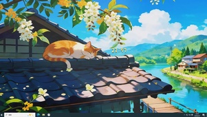 屋顶的猫