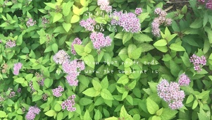 春意
