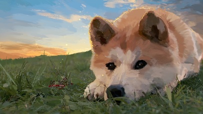 插画治愈柴犬