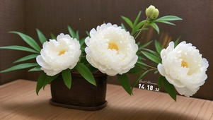 4k文艺风鲜花