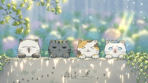 哇～晒春日暖阳的可爱猫猫