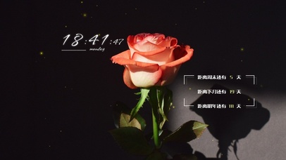 4k高清冷美治愈系列