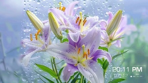百合花