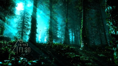 4k 治愈护眼阳光森林