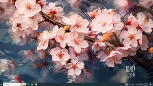 樱花散落