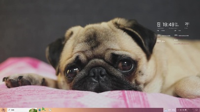 瞌睡小哈巴主题