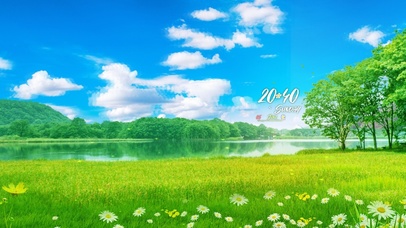 蓝天白云小雏菊花海