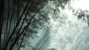 竹林寂静  壁纸