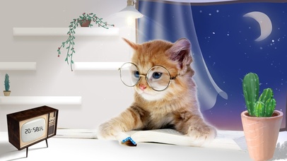 猫咪要做人上人（创意桌面）