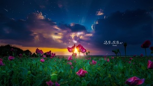 唯美日落花海星空