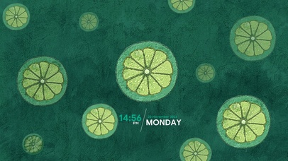 柠檬君（护眼、时钟）