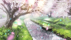 樱前落花