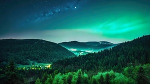 森林夜空