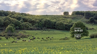4k草地森林风景
