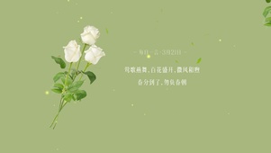 清新绿色花植桌面