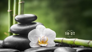 静心