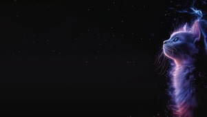 期待未来的梦幻猫咪～宇宙～