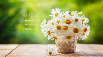 4k治愈清新桌面