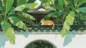 慵懒小猫晒太阳