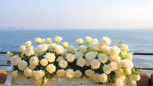 海上玫瑰钢琴