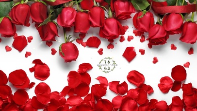 温馨浪漫玫瑰花