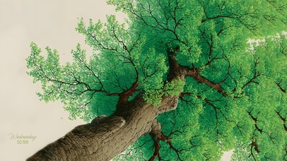 祝君成为自己的大树！