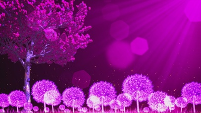唯美梦幻紫色蒲公英
