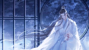 魔道祖师蓝忘机