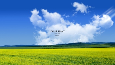 4K唯美蓝天油菜花田