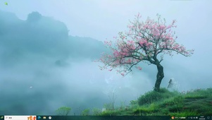 云雾草原桃树
