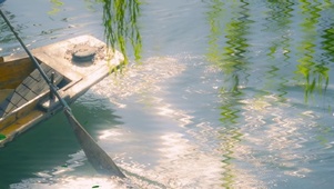 划船舆情  壁纸