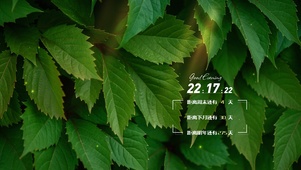 护眼绿色绿植治愈桌面