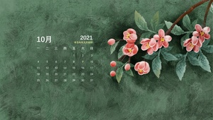 海棠花开（护眼）