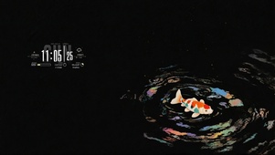锦鲤禅心