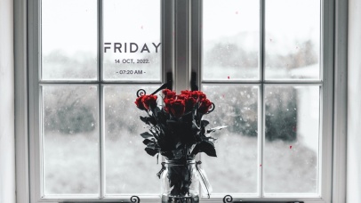 4k治愈窗边玫瑰花