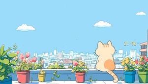 宁静的夏天