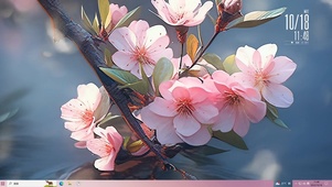 樱花散落